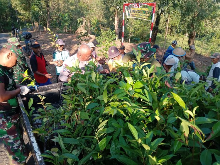 Bibit Tanaman Keras Mulai Didatangkan untuk Program Penghijauan TMMD Reguler 125 Kodim 0710/Pekalongan di Desa Windurojo