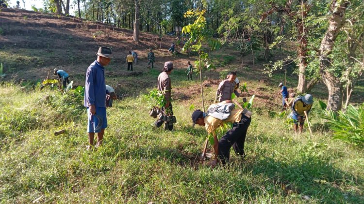 Semangat Menanam, TNI dan Warga Kompak Laksanakan Penghijauan di Desa Windurojo