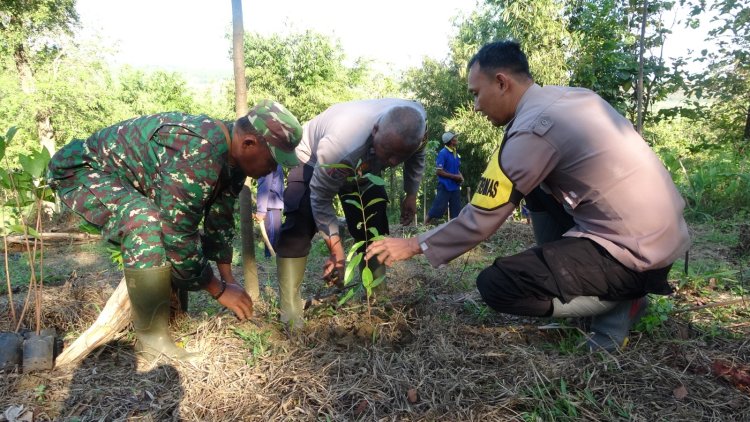 TNI-Polri Kompak Tanam Pohon di Windurojo, Dukung Penghijauan Lewat TMMD Reguler 125 Kodim 0710/Pekalongan