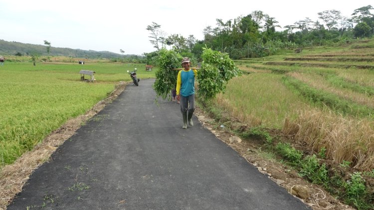 Pak Kasnari Warga Karangmoncol Gembira, Jalan Hasil Tmmd Reguler 125 Kodim 0710/Pekalongan Permudah Angkut Hasil Bumi