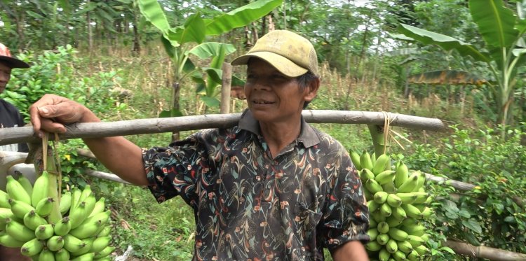 MBah Casmo Warga Dukuh Leles Ucapkan Terima Kasih atas Program Pipanisasi Satgas TMMD Reguler 125 Kodim 0710/Pekalongan