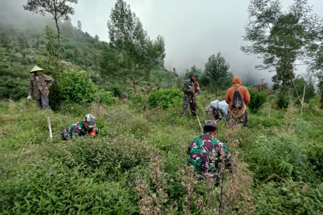 Peduli Lingkungan Dan Lindungi Sumber Mata Air Koramil 05 Batur Lakukan Penghijauan Bersama Masyarakat