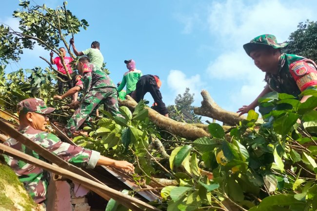 Babinsa  Koramil 11 Punggelan bersama Warga bersihkan pohon Tumbang Timpa Rumah Warga