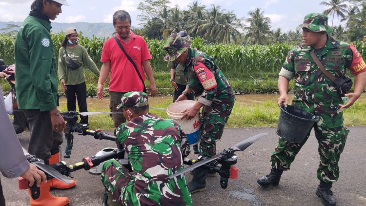 Babinsa Serma Sagi Dampingi Petani Basmi Hama Jagung dengan Drone