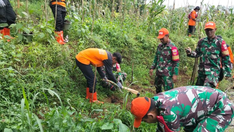 Koramil 16 Pejawaran Relawan Laksanakan Penanaman Pohon