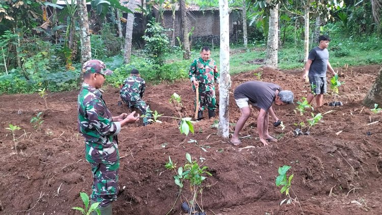 Koramil 11/Punggelan bantu Petani tanam kopi