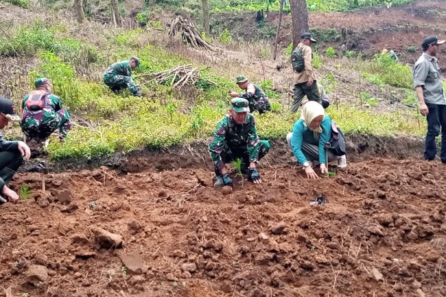 Lanjutkan Program Penghijauan Koramil 17 Wanayasa Tanam pohon bersama masyarakat