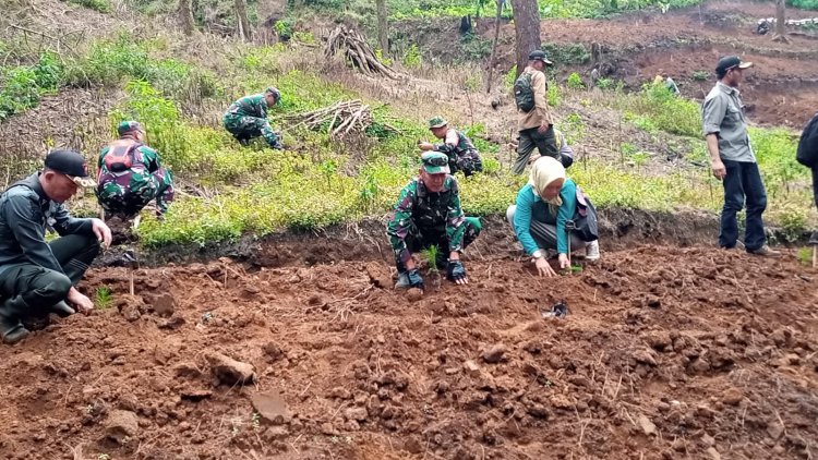 Lanjutkan Program Penghijauan Koramil 17 Wanayasa Tanam pohon bersama masyarakat