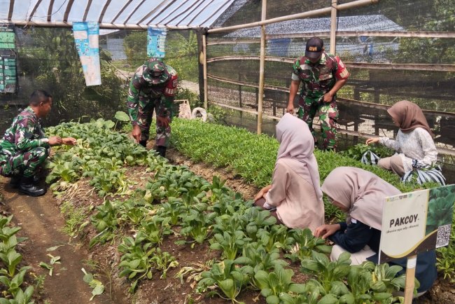 Babinsa Koramil 10 Bawang Bekali Warga Desa Joho Ilmu Budidaya Hortikultura