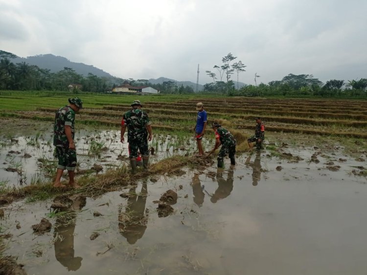 Babinsa Dampingi Petani Lakukan Pengolahan Lahan