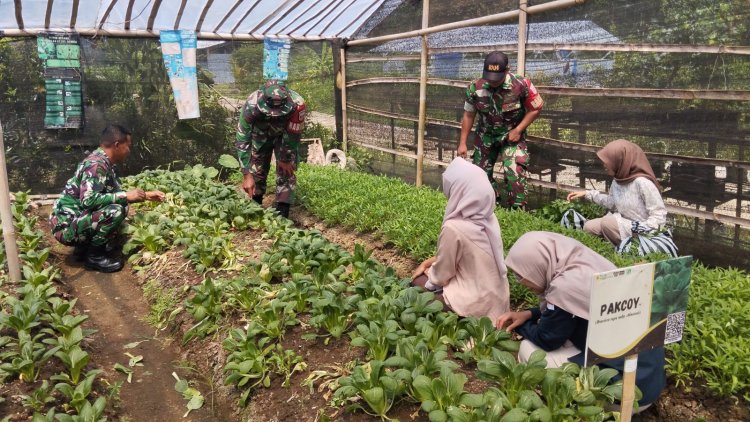 Babinsa Koramil 10 Bawang Bekali Warga Desa Joho Ilmu Budidaya Hortikultura