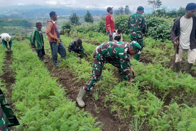 TNI Bersama komponen masyarakat tanami lahan kawasan hutan gundul