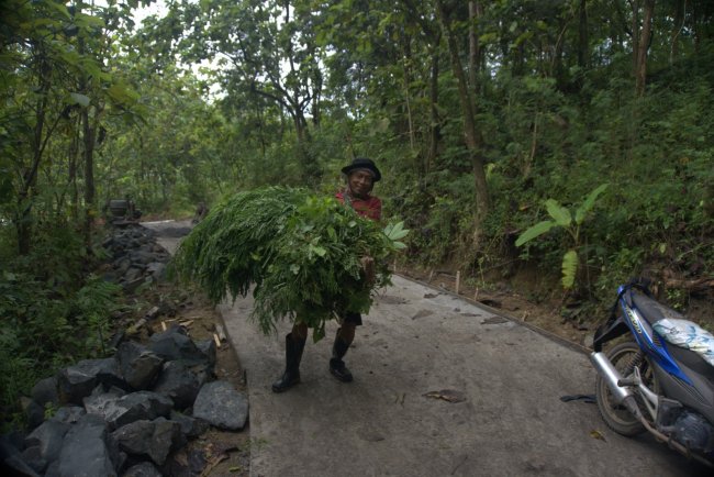 Akses Pakan Makin Mudah, Peternak Kambing Desa Cikuya Bangga Nikmati Jalan Baru Hasil TMMD