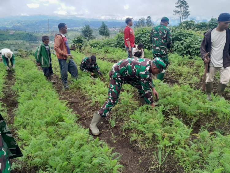 TNI Bersama komponen masyarakat tanami lahan kawasan hutan gundul