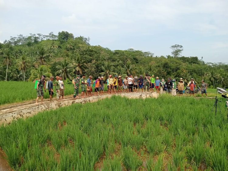 Danramil Dan Babinsa Terjun Langsung Bantu Petani Pemupukan Padi