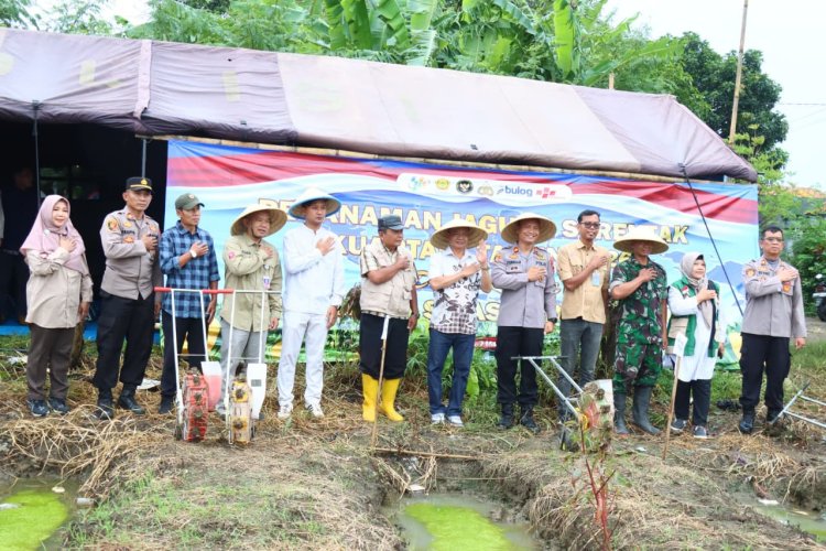Perkuat Ketahanan Pangan, Sinergitas TNI Polri Tanam Jagung Serentak