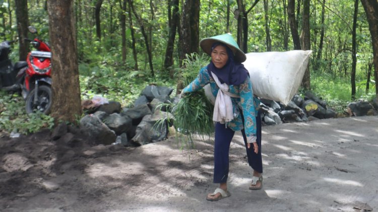 Senyum Ibu Dalia di Jalur TMMD: "Sekarang Tidak Takut Terpeleset Lagi"