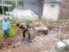Babinsa Dampingi Pembangunan KDKMP Desa Bandingan Fokus Pengerjaan Saluran Keliling