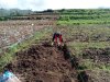 Mengawal Asa dari Pondasi Peran Babinsa di Balik Pembangunan KDKMP Pekasiran