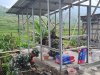 TMMD Sengkuyung Tahap II Kodim 0704 Banjarnegara Dorong Pembangunan Desa Lawen