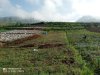 Babinsa Batur Awasi Penggalian Pondasi Pembangunan KDKMP di Pekasiran