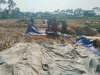 Danramil 08 Purwanegara Turun ke Sawah Bantu Petani Panen Padi di Desa Gumiwang