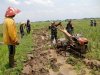 Babinsa Koramil 07 Mandiraja Membantu Petani Mengolah Lahan Sawah