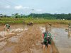 Danramil 11 Punggelan Pimpin Langsung Pengolahan Lahan Sawah di Badakarya
