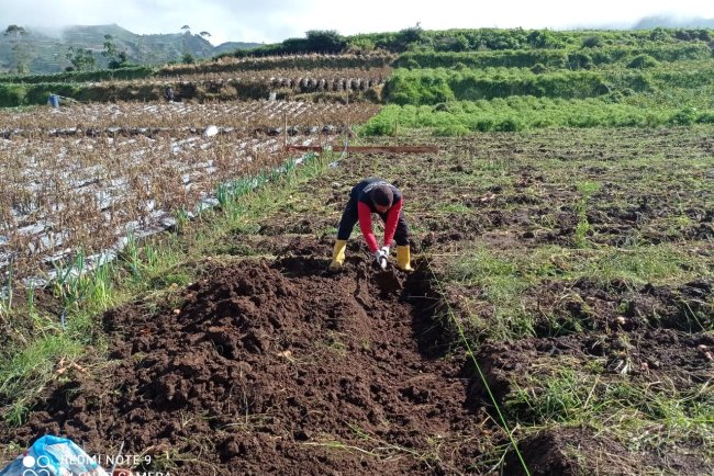 Mengawal Asa dari Pondasi Peran Babinsa di Balik Pembangunan KDKMP Pekasiran