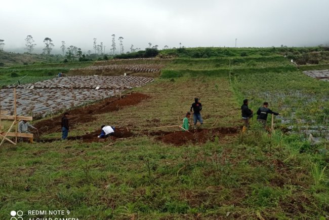 Babinsa Koramil 05 Batur Awasi Penggalian Pondasi KDKMP di Desa Pekasiran