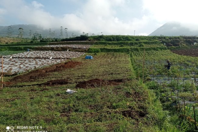 Babinsa Batur Awasi Penggalian Pondasi Pembangunan KDKMP di Pekasiran