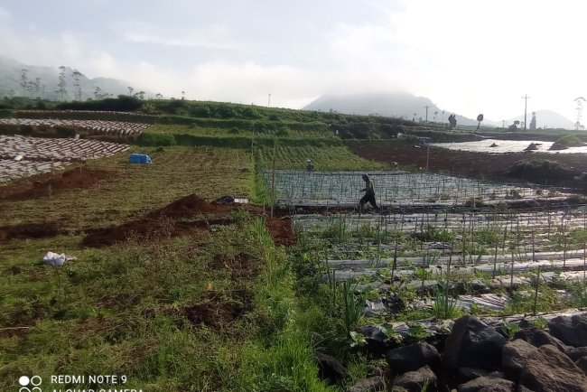 Babinsa Batur Tinjau Penggalian Pondasi KDKMP di Pekasiran