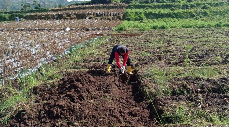 Mengawal Asa dari Pondasi Peran Babinsa di Balik Pembangunan KDKMP Pekasiran