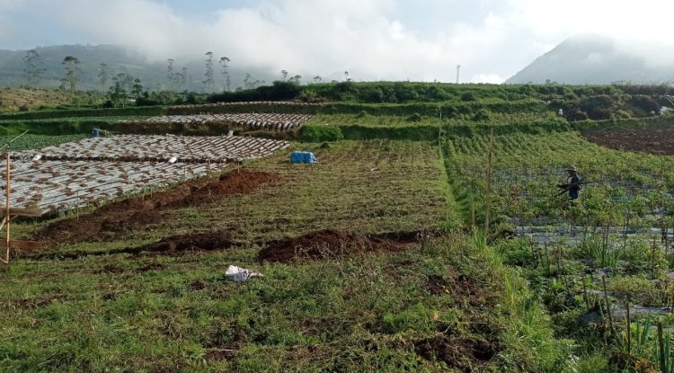 Babinsa Batur Awasi Penggalian Pondasi Pembangunan KDKMP di Pekasiran