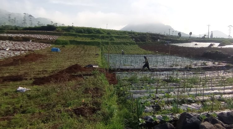 Babinsa Batur Tinjau Penggalian Pondasi KDKMP di Pekasiran