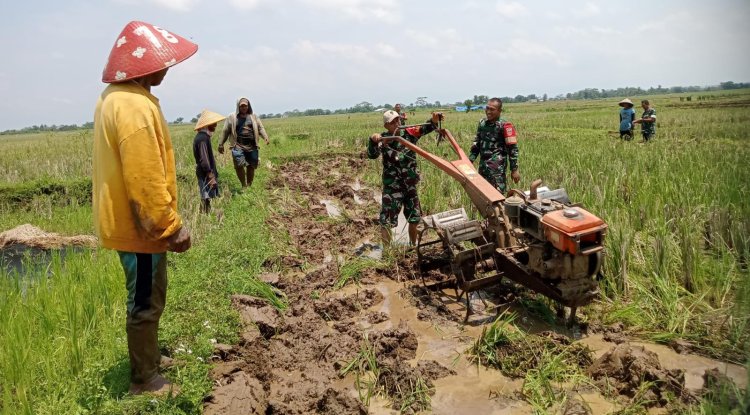 Babinsa Koramil 07 Mandiraja Membantu Petani Mengolah Lahan Sawah