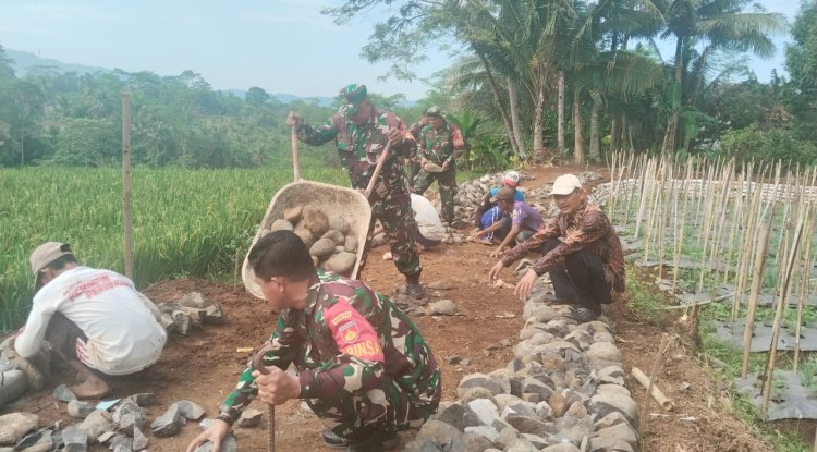 Danramil 08 Purwanegara Pimpin Kerja Bakti Bangun Jalan Usaha Tani di Desa Kutawuluh