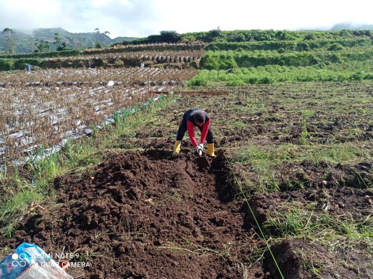 Mengawal Asa dari Pondasi Peran Babinsa di Balik Pembangunan KDKMP Pekasiran