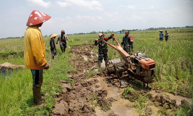 Babinsa Koramil 07 Mandiraja Membantu Petani Mengolah Lahan Sawah
