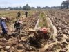 Babinsa Bergelut Dengan Traktor Olah Lahan Bersama Petani