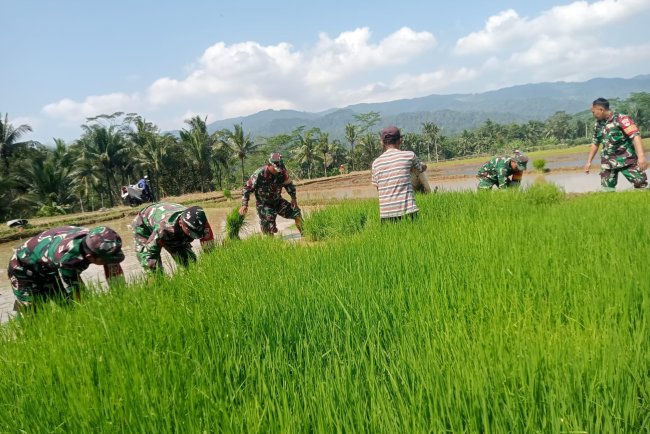 Babinsa bersama petani melaksanakan Daud