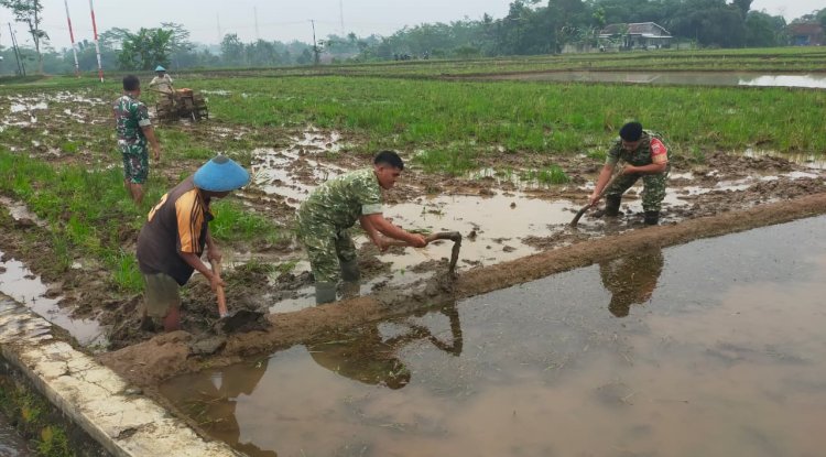 Semangat Babinsa Kebersamaan Membantu Pentani Saat olah lahan diwilayah