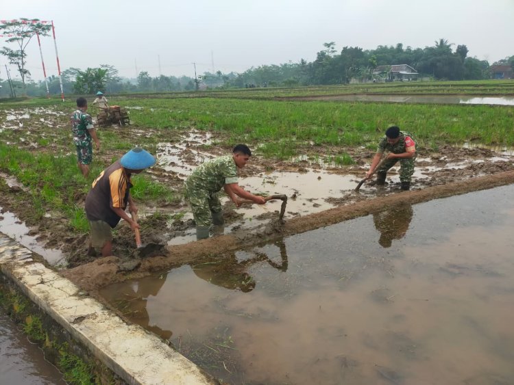 Semangat Babinsa Kebersamaan Membantu Pentani Saat olah lahan diwilayah